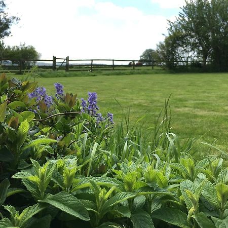 Cotswolds Mine Hill House Bed and Breakfast Lower Brailes Εξωτερικό φωτογραφία