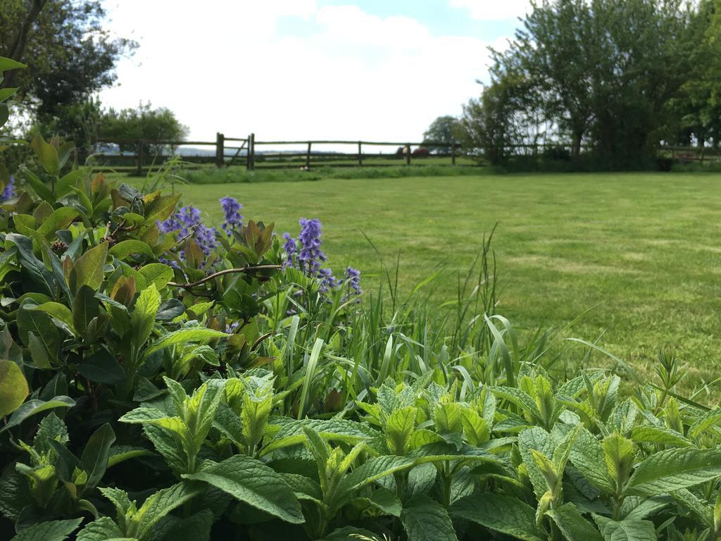 Cotswolds Mine Hill House Bed and Breakfast Lower Brailes Εξωτερικό φωτογραφία