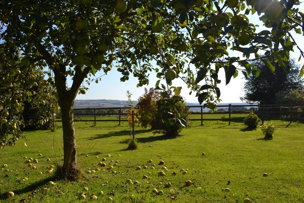 Cotswolds Mine Hill House Bed and Breakfast Lower Brailes Εξωτερικό φωτογραφία