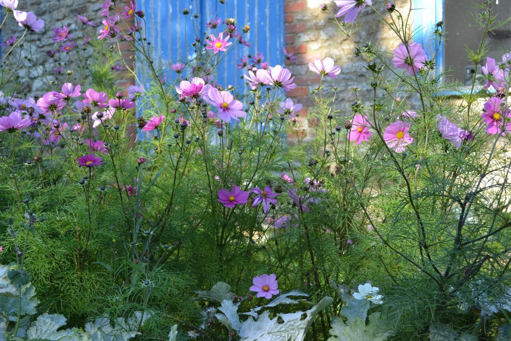 Cotswolds Mine Hill House Bed and Breakfast Lower Brailes Εξωτερικό φωτογραφία